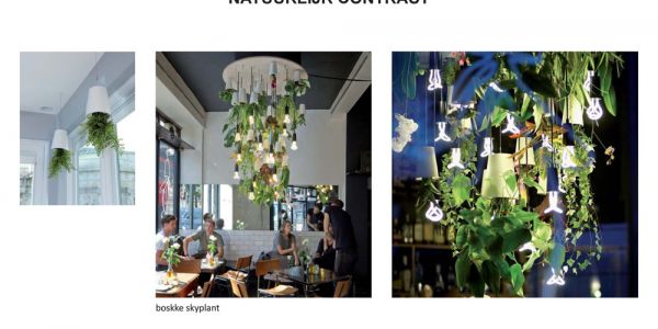 Arjen Reas Architecten - Optic Store Zoetermeer
